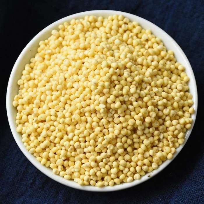Yellow Panicum Millet