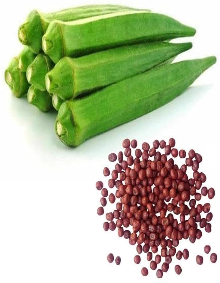 Okra