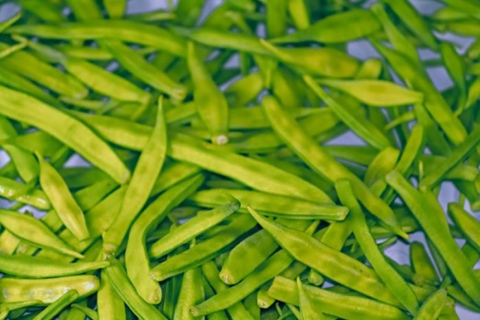 Guar Gum Churi