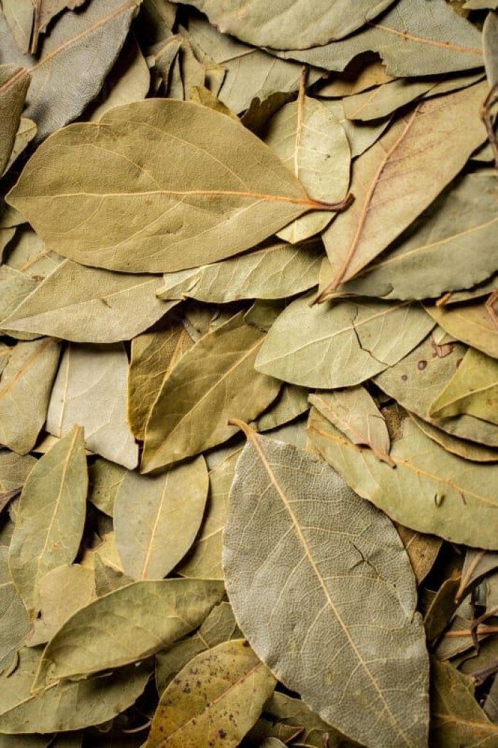 BAY LEAVES