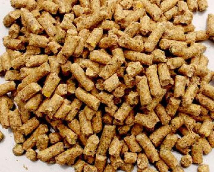 Groundnut Doc