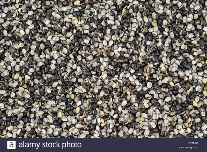 Urad Gota / Black Matpe Without Skin