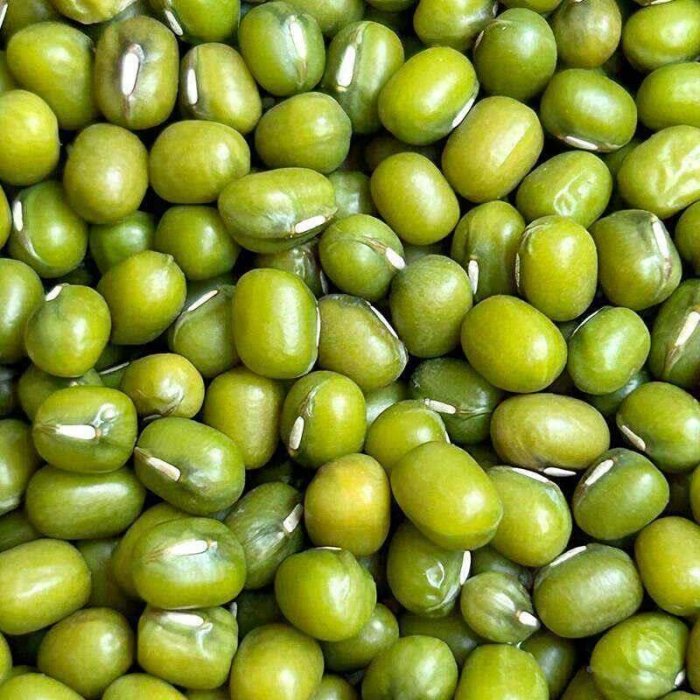 Green Mung