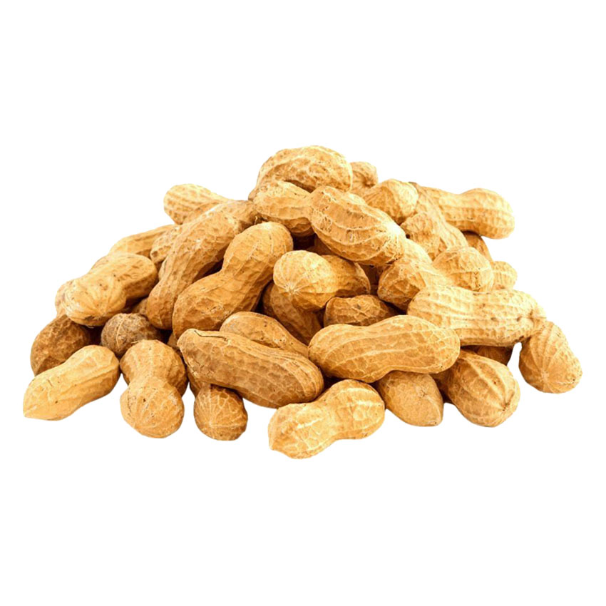 GROUNDNUT