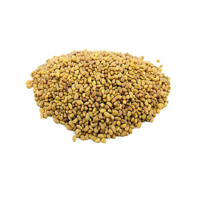 Alfalfa Seed