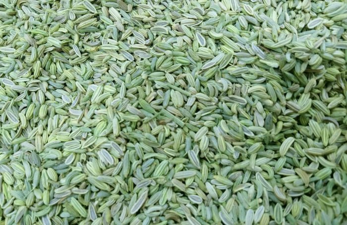 Fennel Seeds