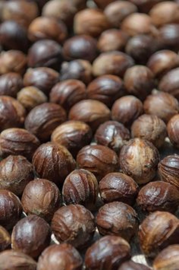 Nutmeg