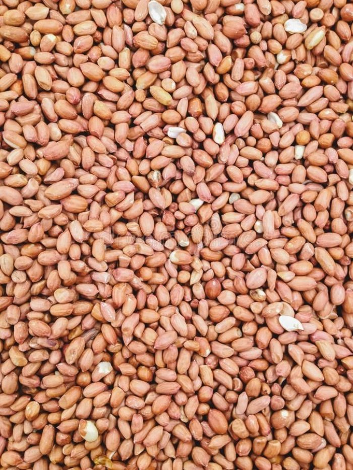 PEANUT TJ