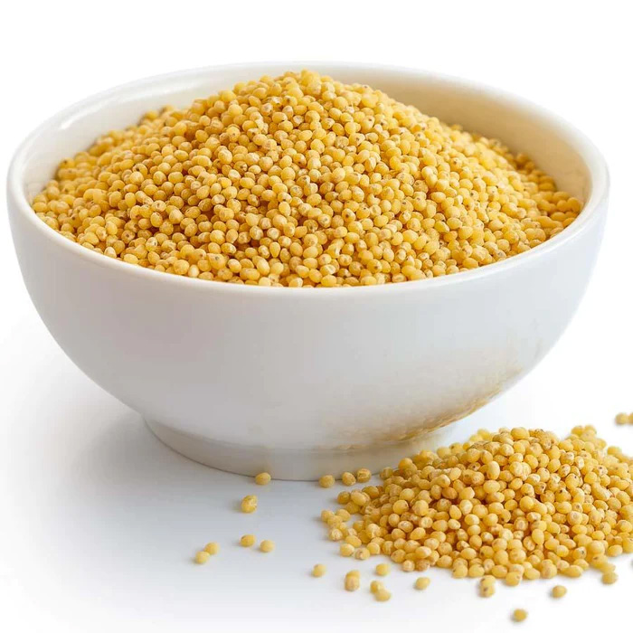 FOXTAIL MILLET
