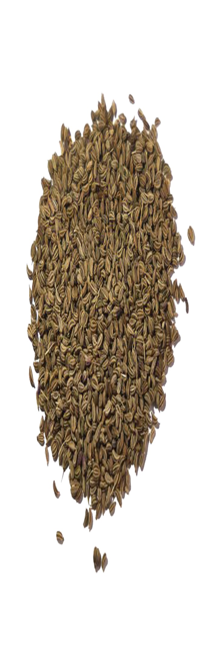 AJWAIN