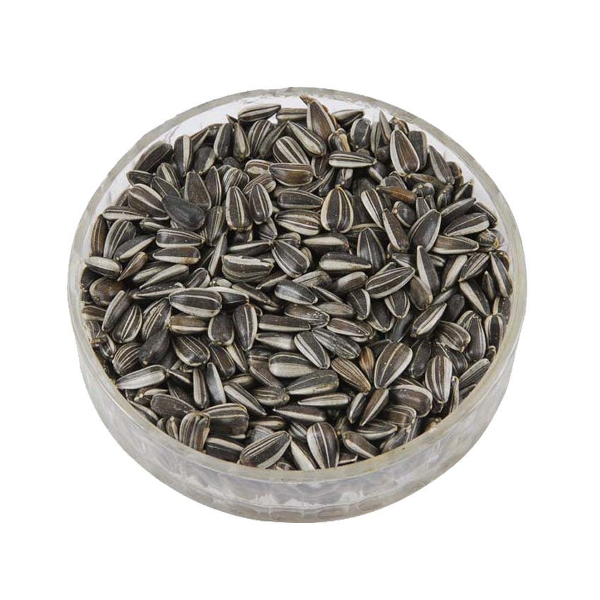SUNFLOWER SEEDS